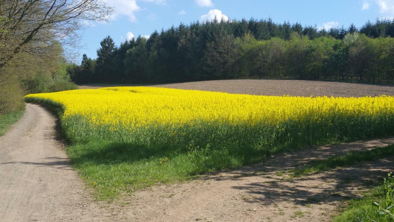 Ferienwohnung Auszeit Tholey 외부 사진